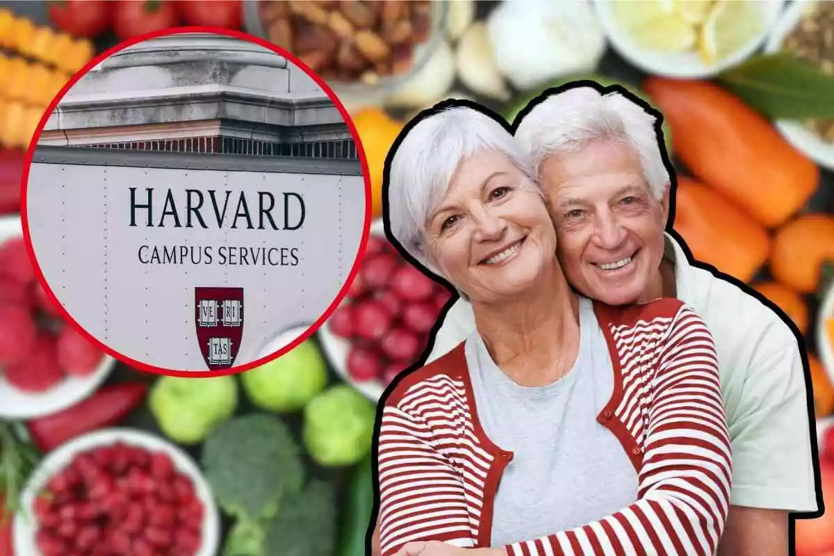 personas mayores abrazadas junto al logo de harvard y alimentos de fondo
