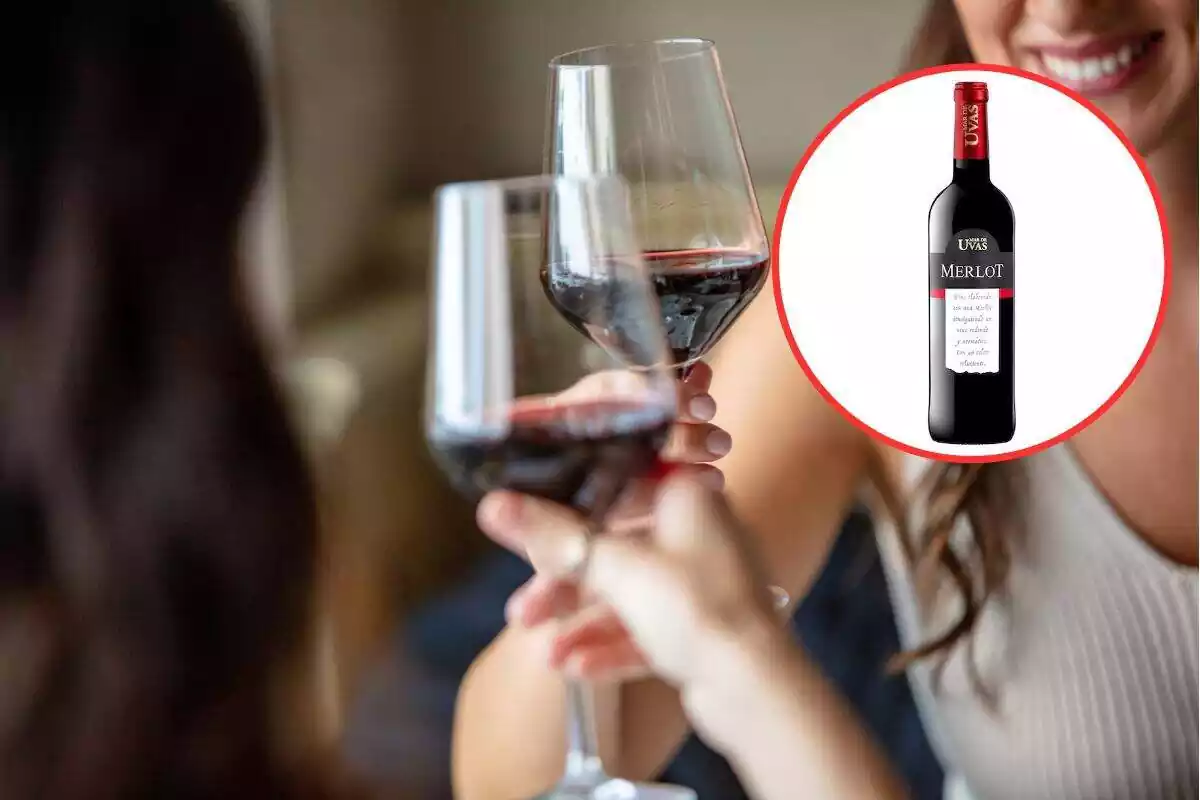 Foto de dos mujeres que brindan con sus copas de vino tinto que están en el centro de la imagen y a la derecha círculo rojo con foto dentro de un vino merlot